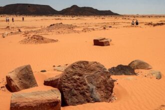توهان ١٤ منقب في الصحراء.. مناشدة للداخلية