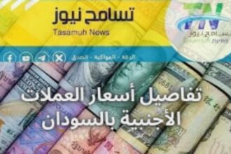 السودان .. الجنيه يتهاوى أمام العملات الأجنبية 