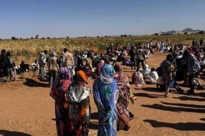 الفاشر تستقبل المئات من موجات النزوح العكسية.. تفاصيل!