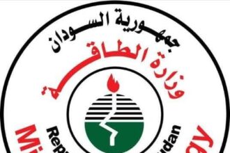 الطاقة تتجه لإستيراد المشتقات البترولية بعطاءات دولية!