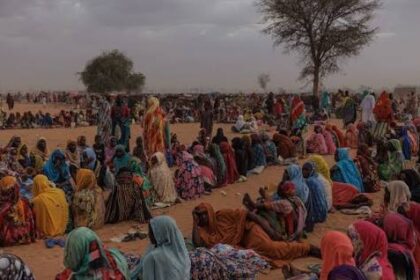 دعوة عاجلة من السودان لمنظمات الهجرة لدعم النازحين !