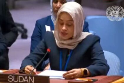 دبلوماسية سودانية تحظى بإشادة بمجلس الأمن الدولي وتلفت الأنظار 