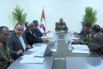 توجيهات سيادية بشأن القضايا الدولية المرفوعة ضد السودان