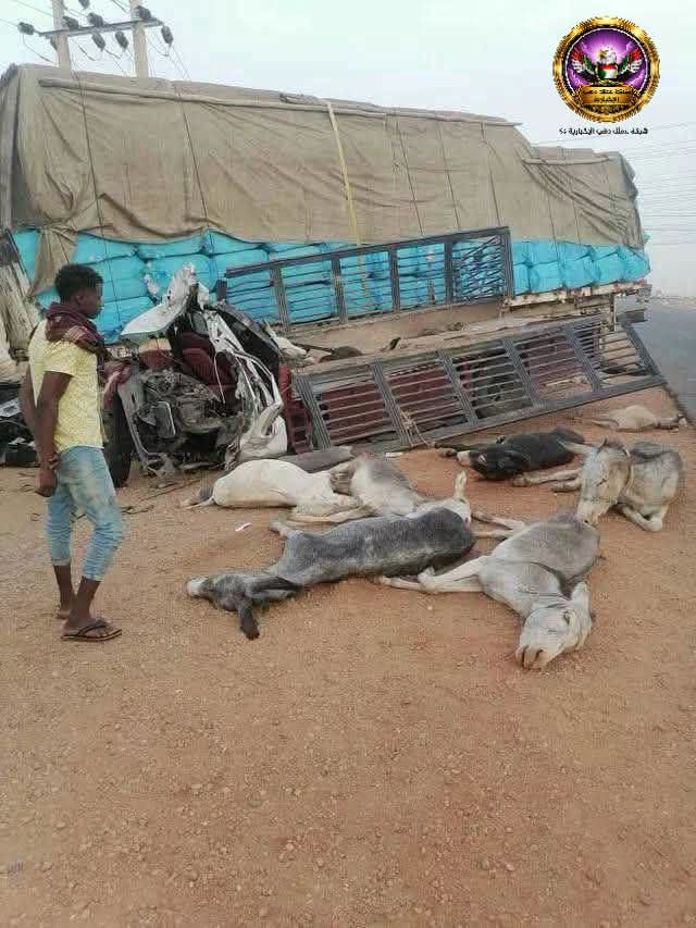 وفاة ثلاثه أشخاص وأصابتان ونفوق سبعه  حمير في حادث بعطبرة..