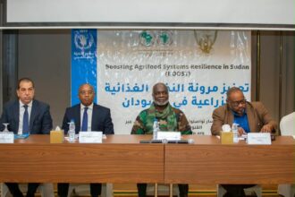 بنك التنمية الأفريقي يضخ استثمارات جديدة في الزراعة السودانية.. وهذه أبرز التفاصيل!