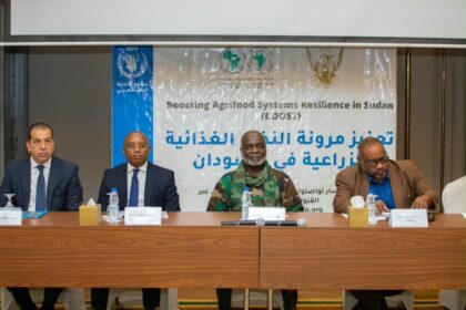 بنك التنمية الأفريقي يضخ استثمارات جديدة في الزراعة السودانية.. وهذه أبرز التفاصيل!