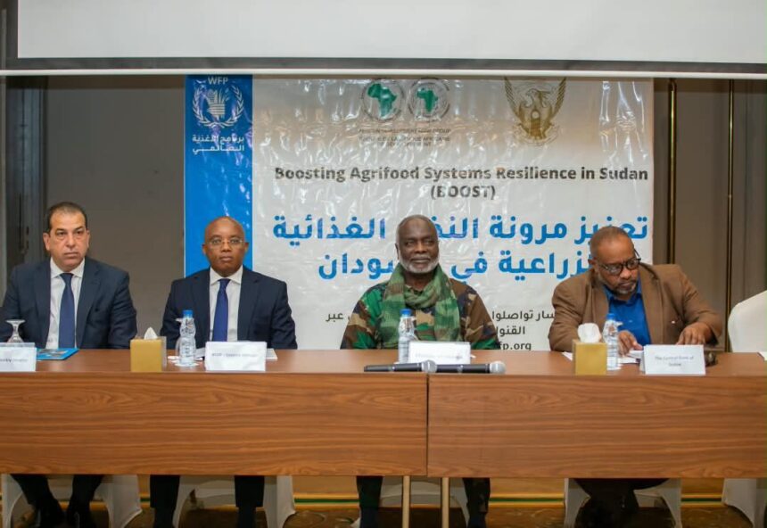 بنك التنمية الأفريقي يضخ استثمارات جديدة في الزراعة السودانية.. وهذه أبرز التفاصيل!