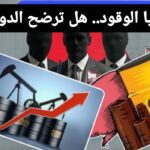مافيا الوقود.. هل ترضخ الدولة لإبتزاز القطط السمان ؟