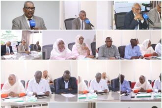 3 ملايين فدان تحت خطة الموسم الشتوي.. السودان يراهن على القمح لتحقيق الأمن الغذائي!