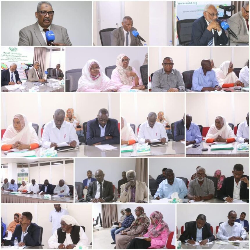 3 ملايين فدان تحت خطة الموسم الشتوي.. السودان يراهن على القمح لتحقيق الأمن الغذائي!
