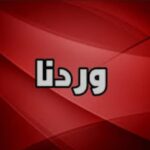 استعادة منطقة استراتيجية قرب عاصمة النيل الأزرق
