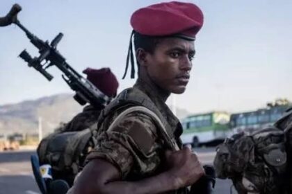 أمهرا على صفيح ساخن.. فانو تعلن خسائر كبيرة في صفوف الجيش الإثيوبي !