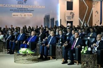 قمة العلمين تحسم مواقفها بشأن السودان والبحر الأحمر ومياه النيل!!